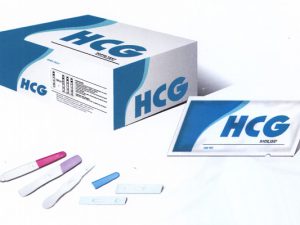 HCG TEST